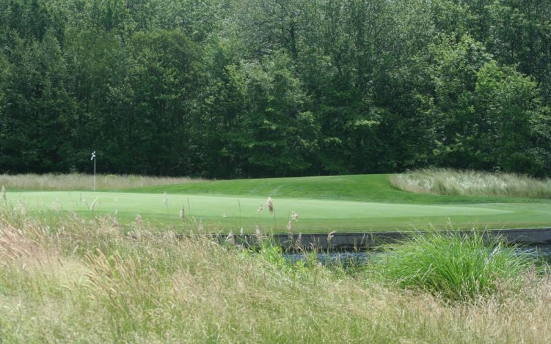 Golf Course (19)